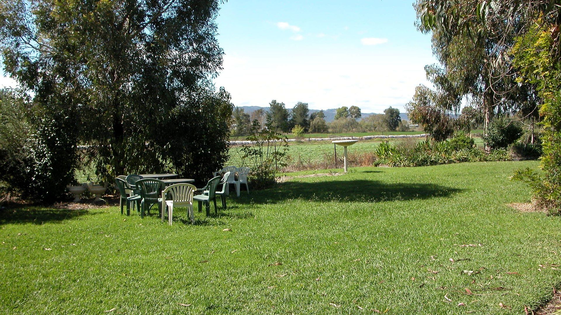 The Cudgee At 4*