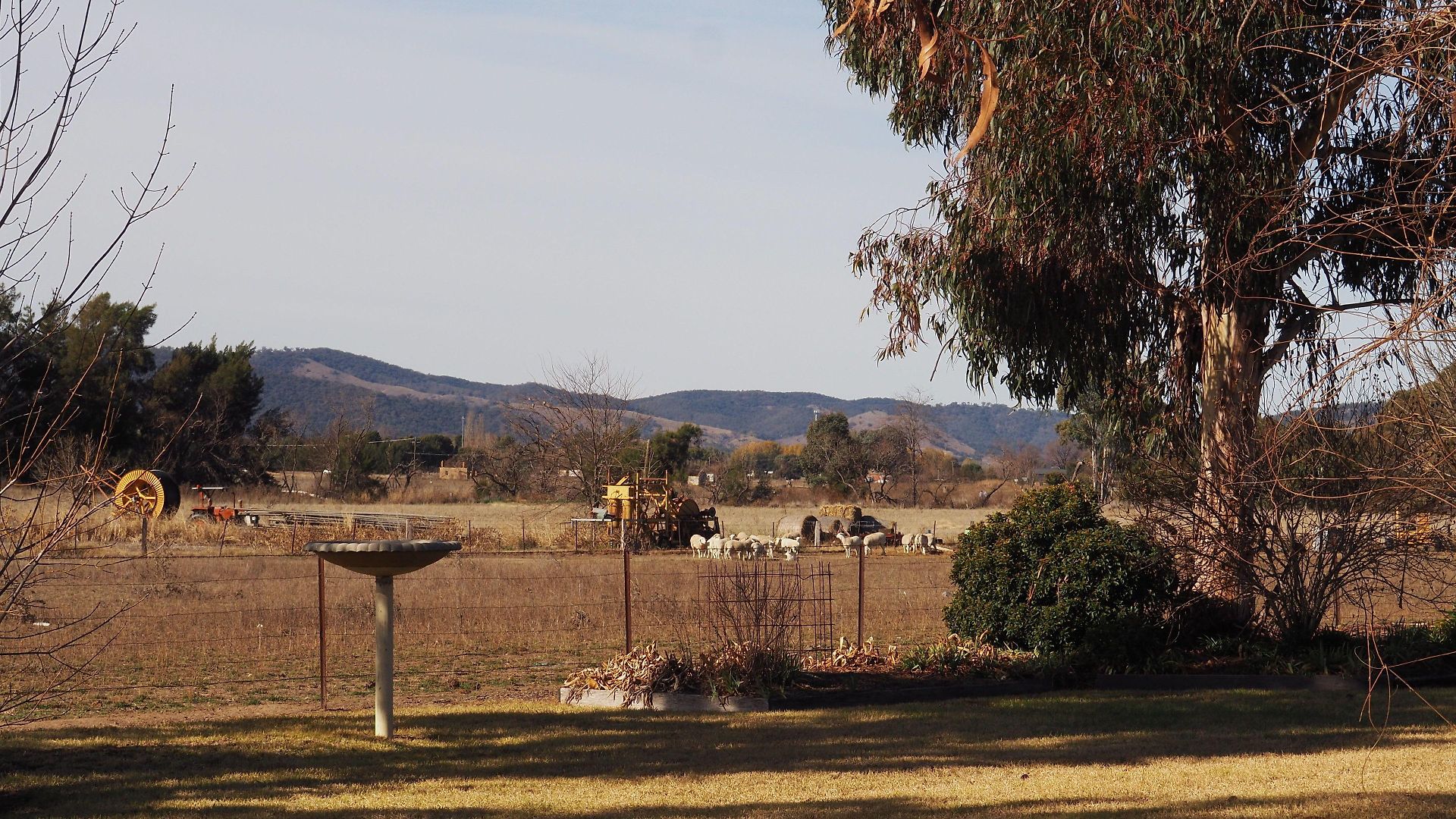The Cudgee At Motel Mudgee