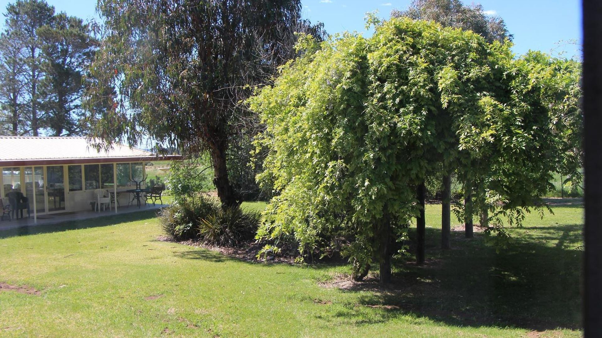 The Cudgee At