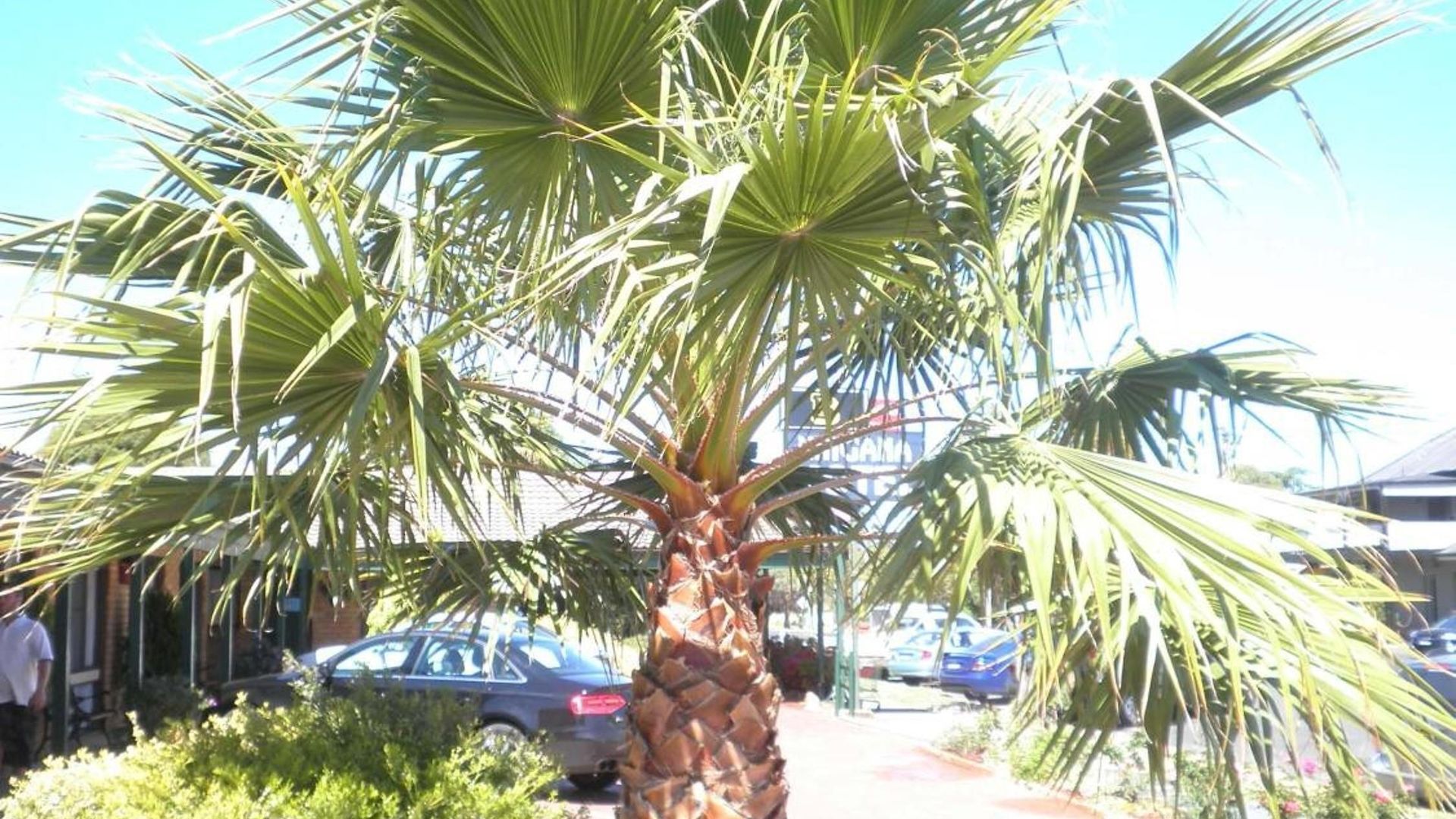 Motel Ningana 4*