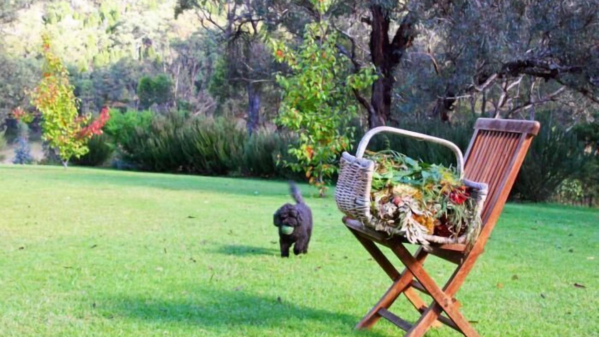 Wildwood Mudgee