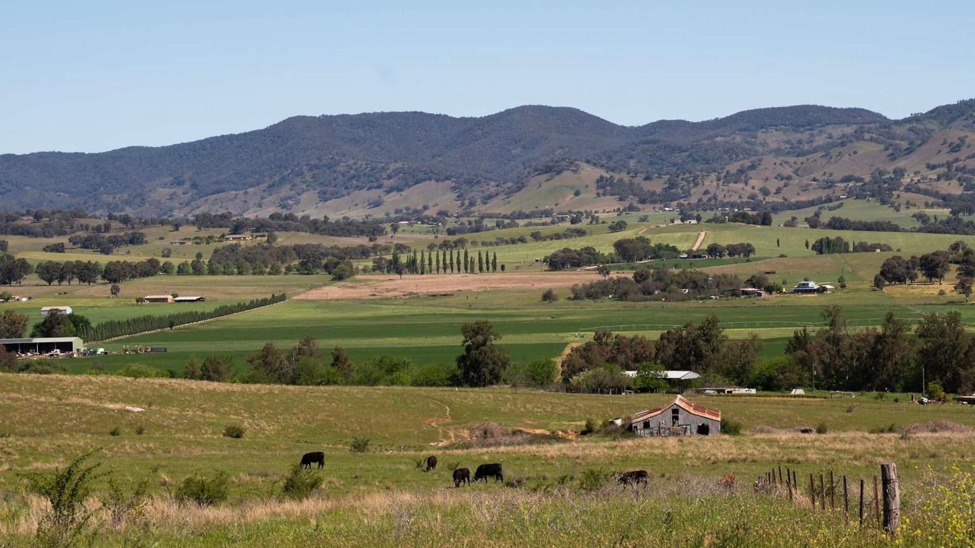 Allambie - Poolside Elegance In Countryside Mudgee
