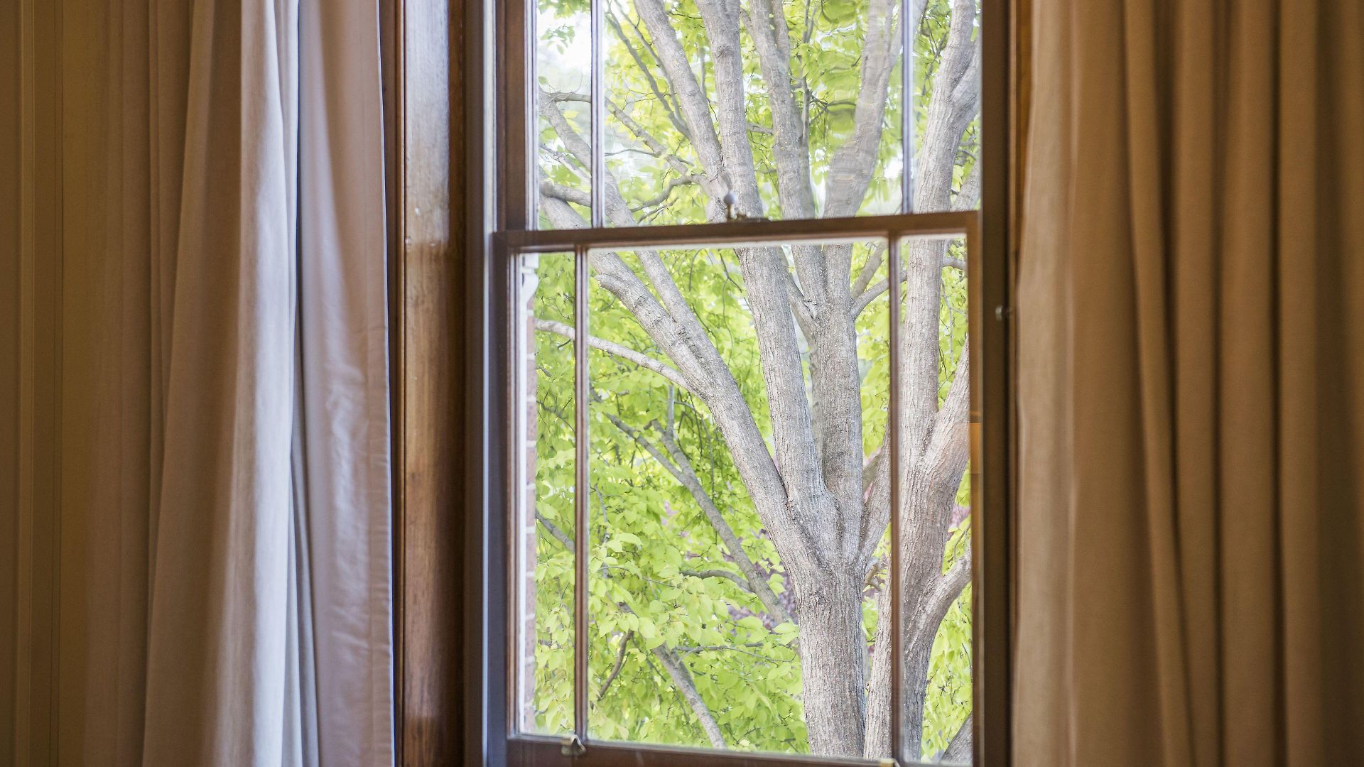 The Parkview Boutique Hotel 4*