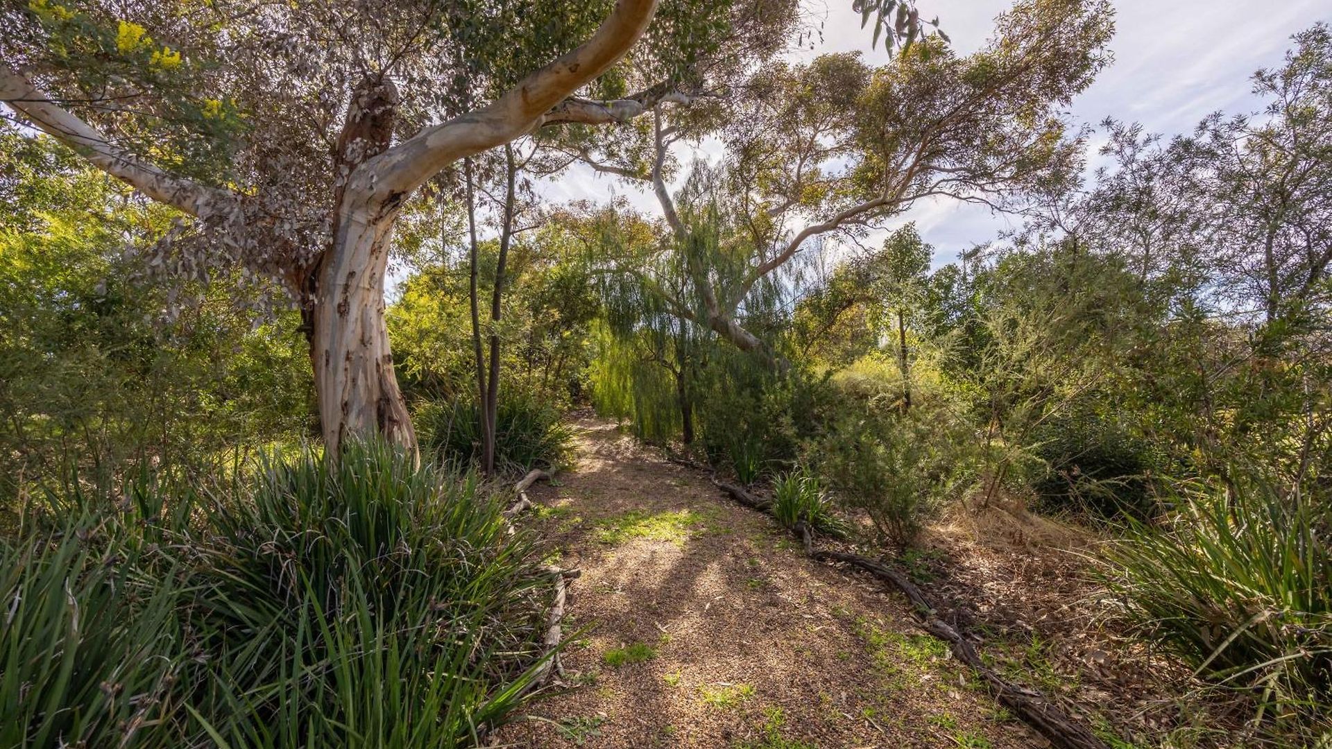 Hillgrove Guest house 4*