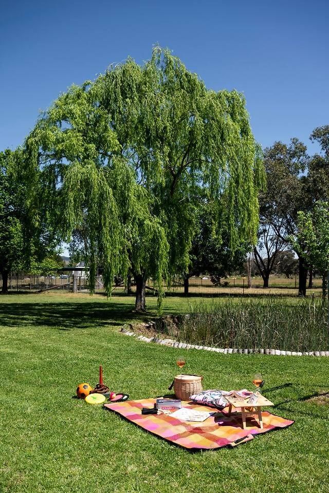 Tilia Estate - Wine Country Haven With Games Mudgee