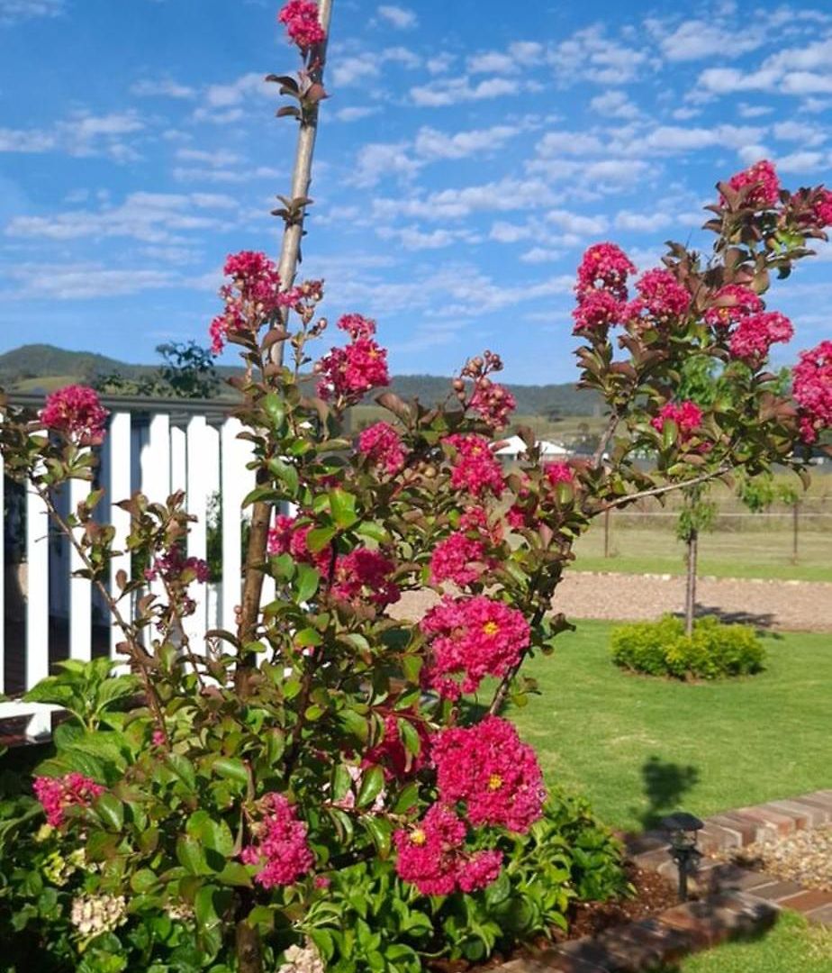 Dangerfield Oaks Boutique Cottage's