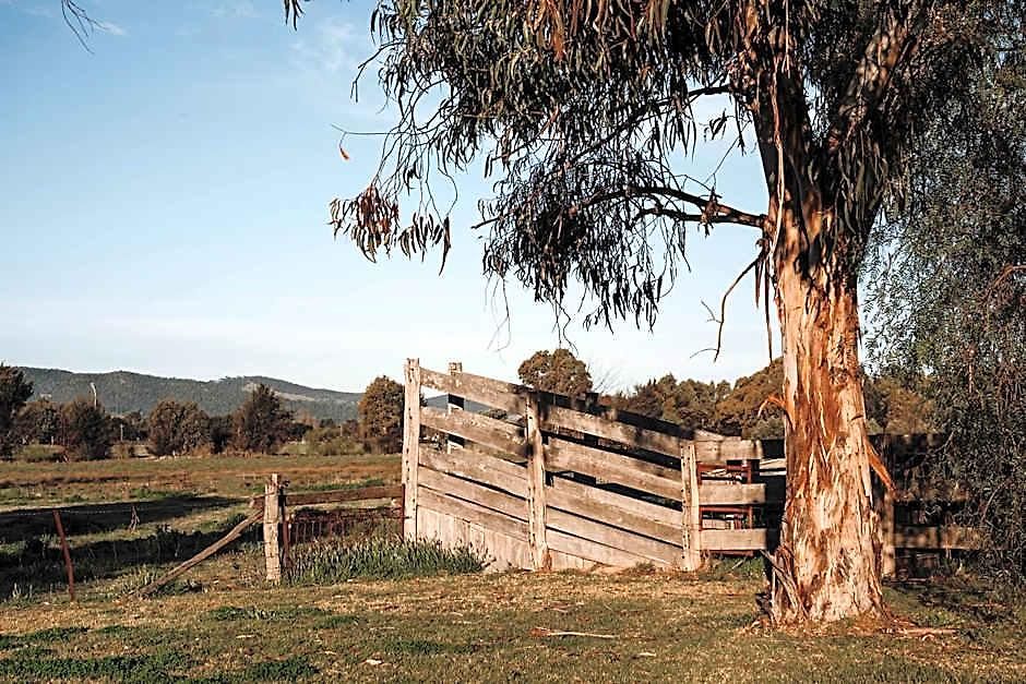 The Cudgee At Motel