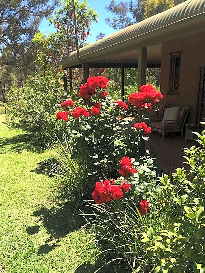 Wildwood Mudgee