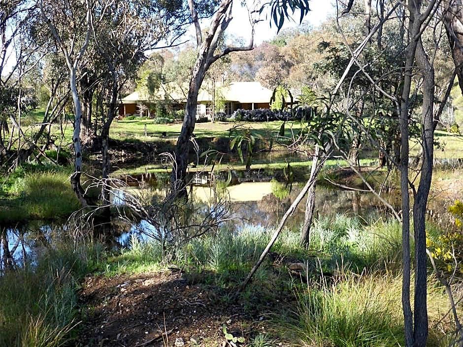 Hotel Wildwood Mudgee