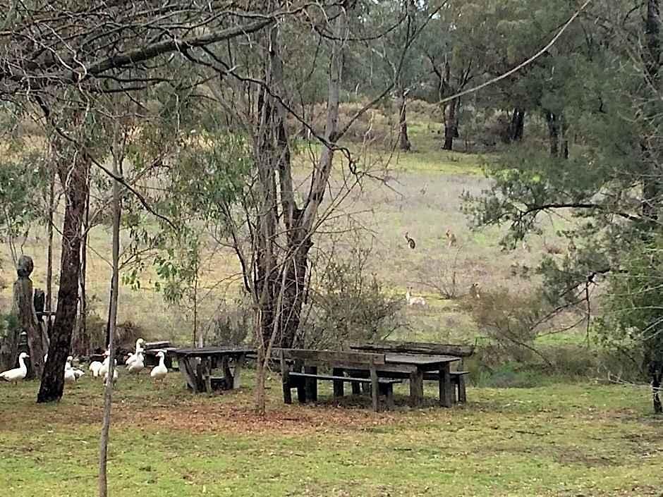 Wildwood Hotel Mudgee