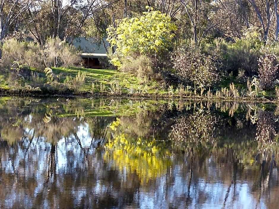 Wildwood 4* Mudgee
