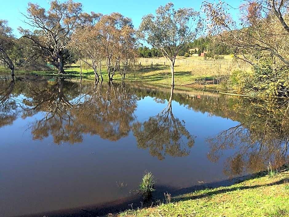Wildwood 4* Mudgee