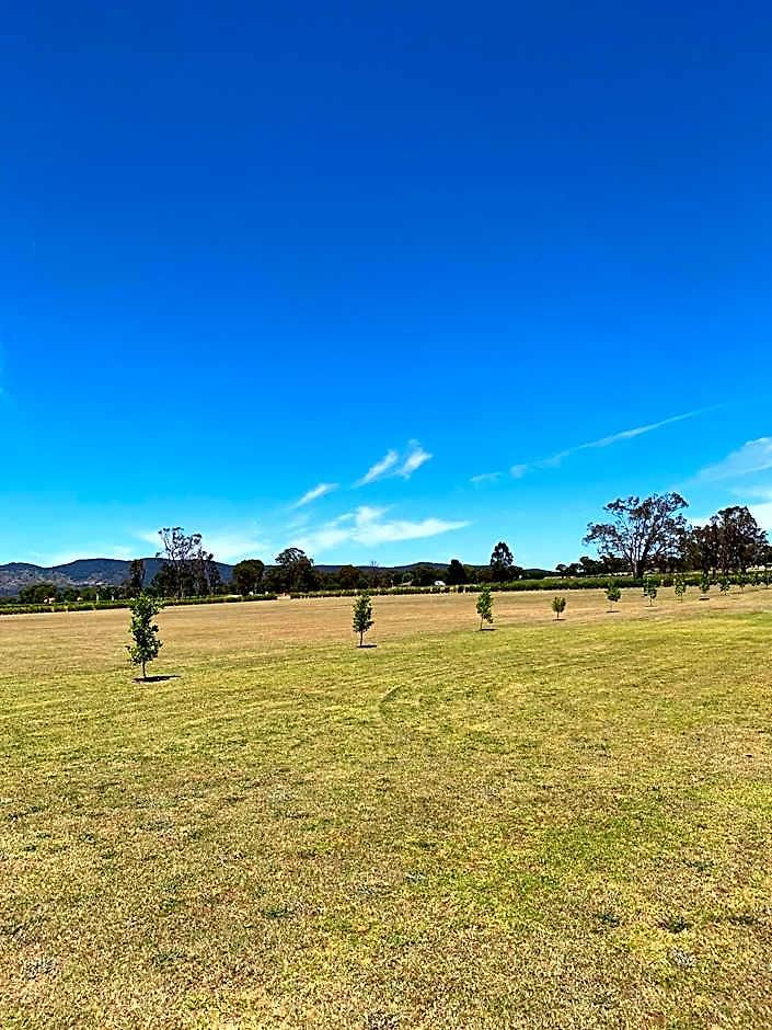 Motel Vineyard Motor Mudgee