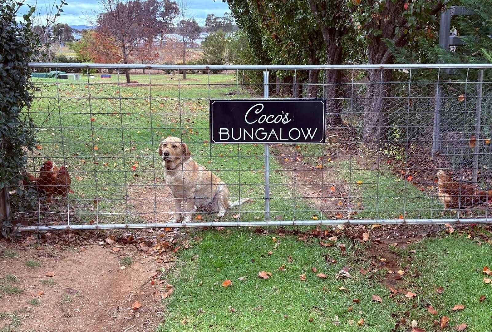 Coco's Villa