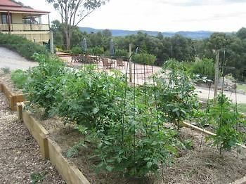 Homestead Homestay Mudgee