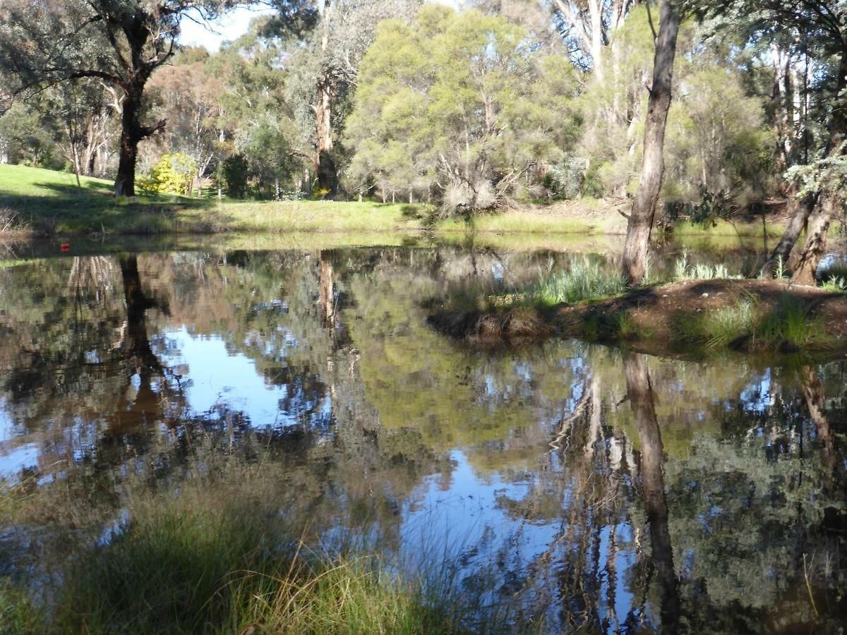Wildwood Mudgee
