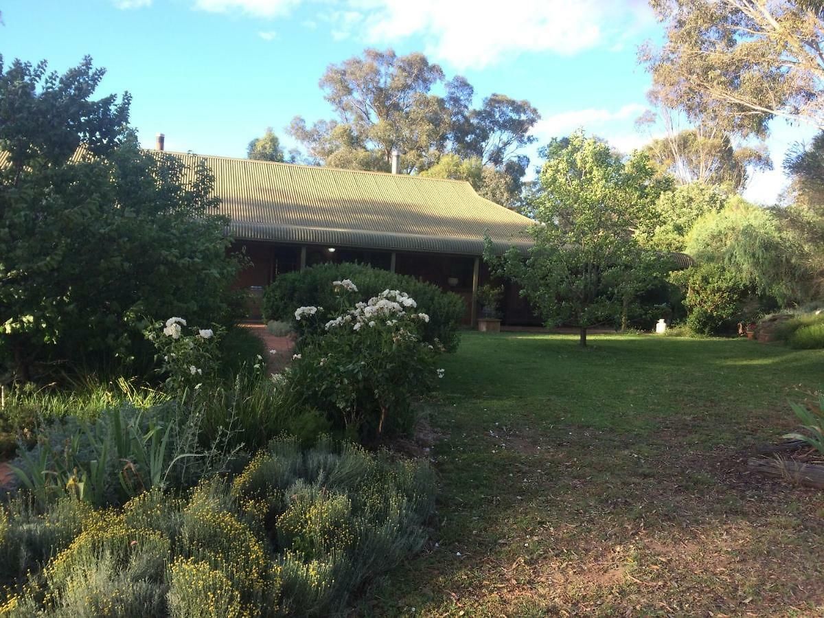 Wildwood Mudgee