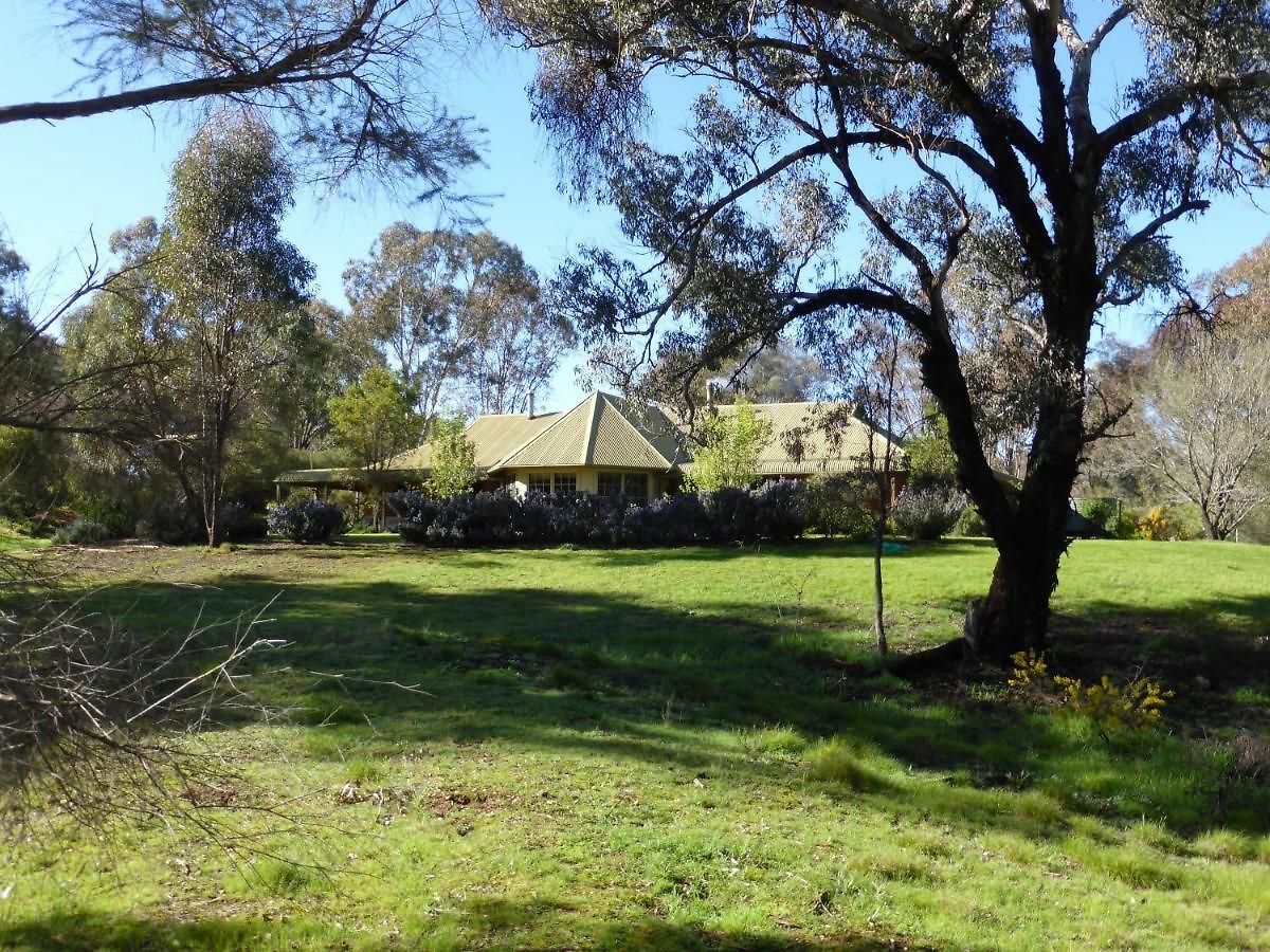 Wildwood * Mudgee