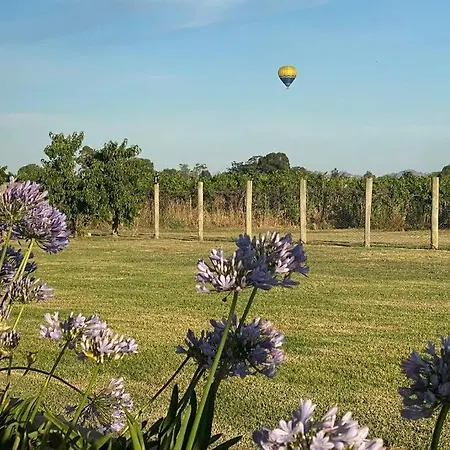 Holiday home 'vineyard Cottage' A Golden Escape Among The Vines *
