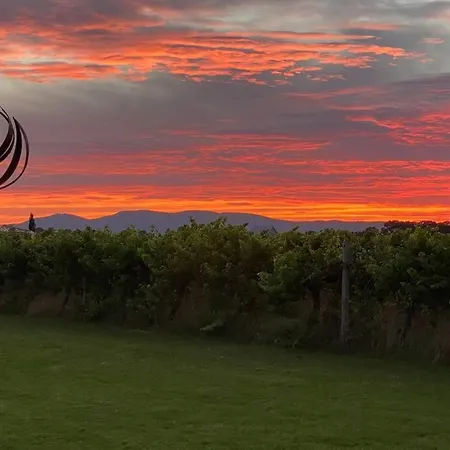 'vineyard Cottage' A Golden Escape Among The Vines Holiday home