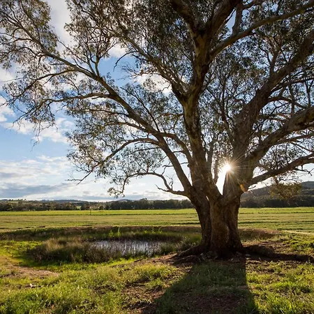 Beaudesert *