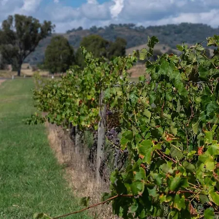 Holiday home 'orana Grove' Reset At A Vineyard Getaway