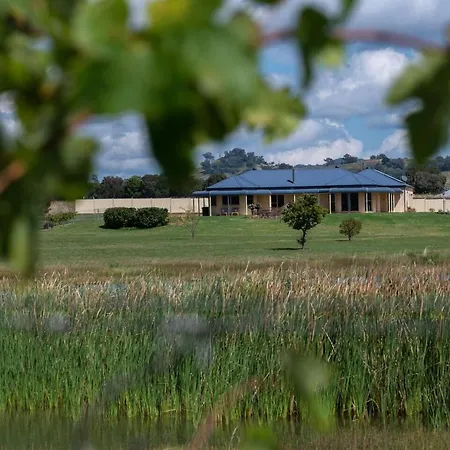 'orana Grove' Reset At A Vineyard Getaway