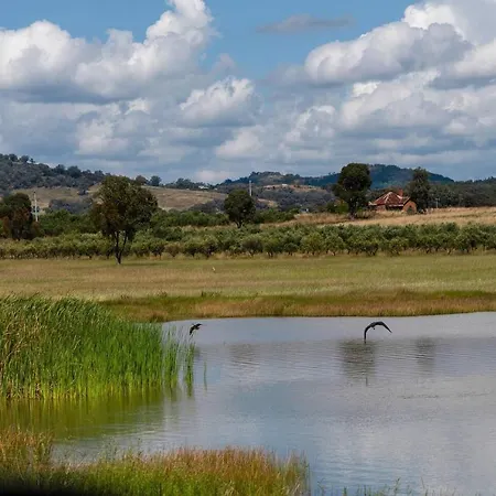 'orana Grove' Reset At A Vineyard Getaway Mudgee