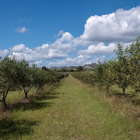 'orana Grove' Reset At A Vineyard Getaway * Mudgee