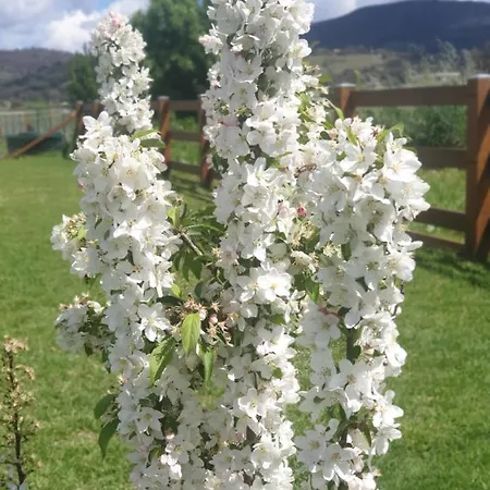 Dangerfield Oaks Boutique Cottage's Farm stay