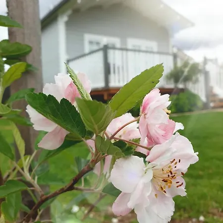 Dangerfield Oaks Boutique Cottage's Mudgee