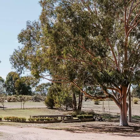 'wilpine' Poolside Country Luxury Near Town