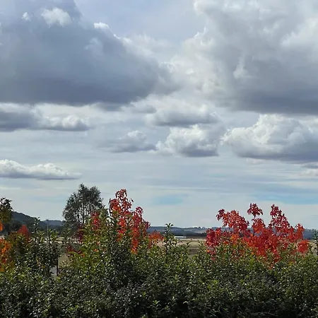 Guest house Mudgee Guesthouse 4*