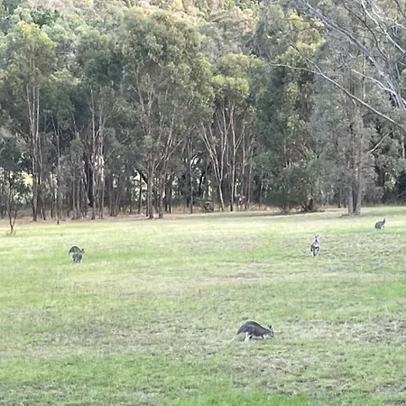 Lazy Frog Country Luxury * Mudgee