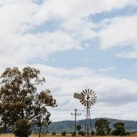 Anton Pavilion - Cheerful Country Solace In Mudgee