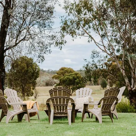 Anton Pavilion - Cheerful Country Solace In Mudgee