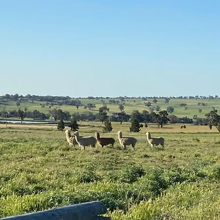 Ithaca Farm - Country View Seclusion * Mudgee