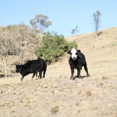 Canguri Boutique - A Memorable Near Mudgee
