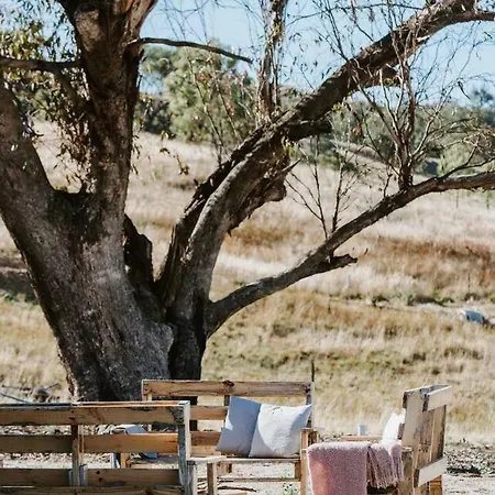 Holiday home Canguri Boutique - A Memorable Near