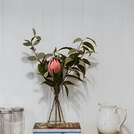 Charlie's Stylish Family-friendly In Downtown Holiday home Mudgee
