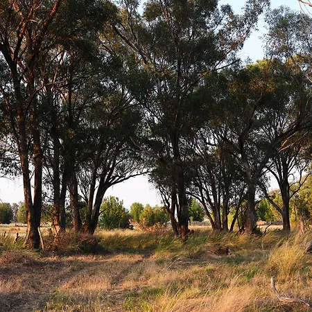 Villa Shawwood Mudgee