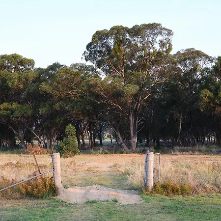 Shawwood