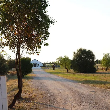 Shawwood * Mudgee