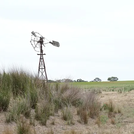 Shawwood * Mudgee