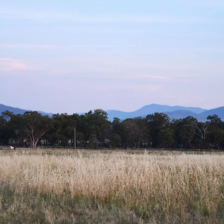 Shawwood Mudgee