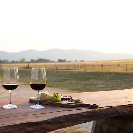 Shawwood Villa Mudgee