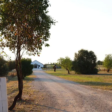 Shawwood Estate Villa