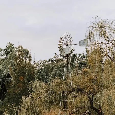 Budgee Budgee Farm - 33 Acres Of Pure Bliss *