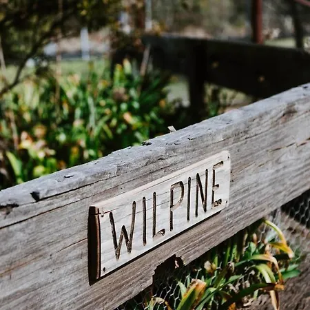 'wilpine' Poolside Country Luxury Near Town *