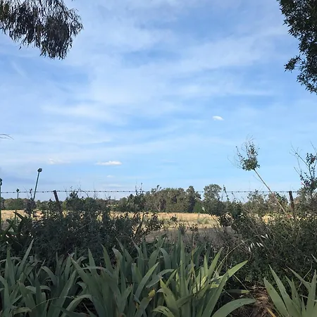 The Cudgee At